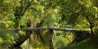 pont mégalithique au dessus du Thouet dans un environnement végétal à Artannes sur thouet