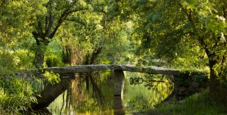 pont mégalithique au dessus du Thouet dans un environnement végétal à Artannes sur thouet©N. Van Ingen_propriété du Parc naturel régional utilisation interdite