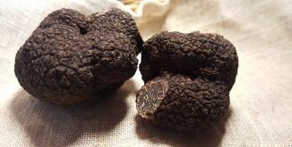 Truffes©PNRLAT