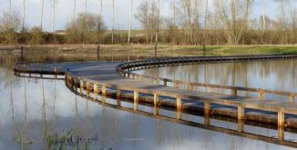 Marais de Baffou