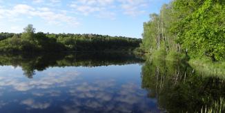 etang-de-joreau