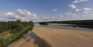 Loire angevine