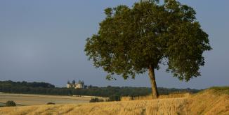 Coudray-Montpensier