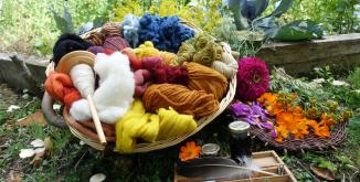 Couleurs végétales Jardin de coliflor
