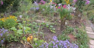Jardin potager