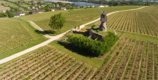 MONTSOREAU_moulin