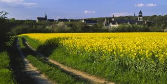 Fontevraud©P. Body.jpg