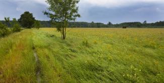 Bocage du Véron©D. Greyo
