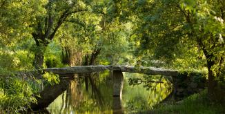 pont mégalithique au dessus du Thouet dans un environnement végétal à Artannes sur thouet©N. Van Ingen_propriété du Parc naturel régional utilisation interdite