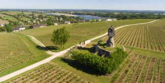 vue sur le moulin à Montsoreau entouré de vignes, au loin on aperçoit des habitations et la Loire