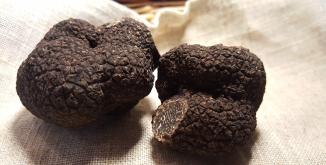 Truffes©PNRLAT