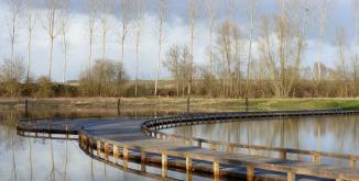 Marais de Baffou