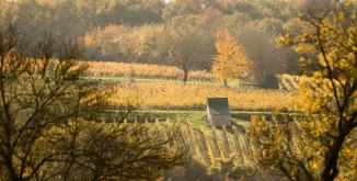 Loge de vigne©N. Van Ingen_propriété du Parc naturel régional utilisation interdite