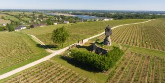 MONTSOREAU_moulin