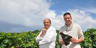 Des poules et des vignes- Prix innover à la campagne