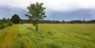 Bocage du Véron©D. Greyo