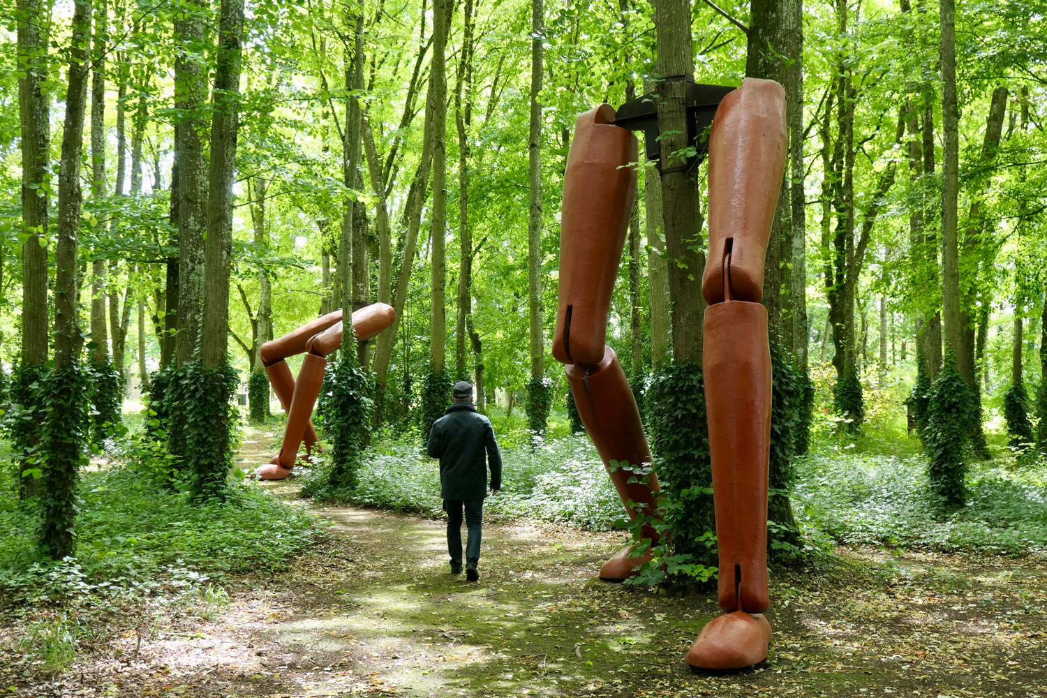 La Forêt qui court