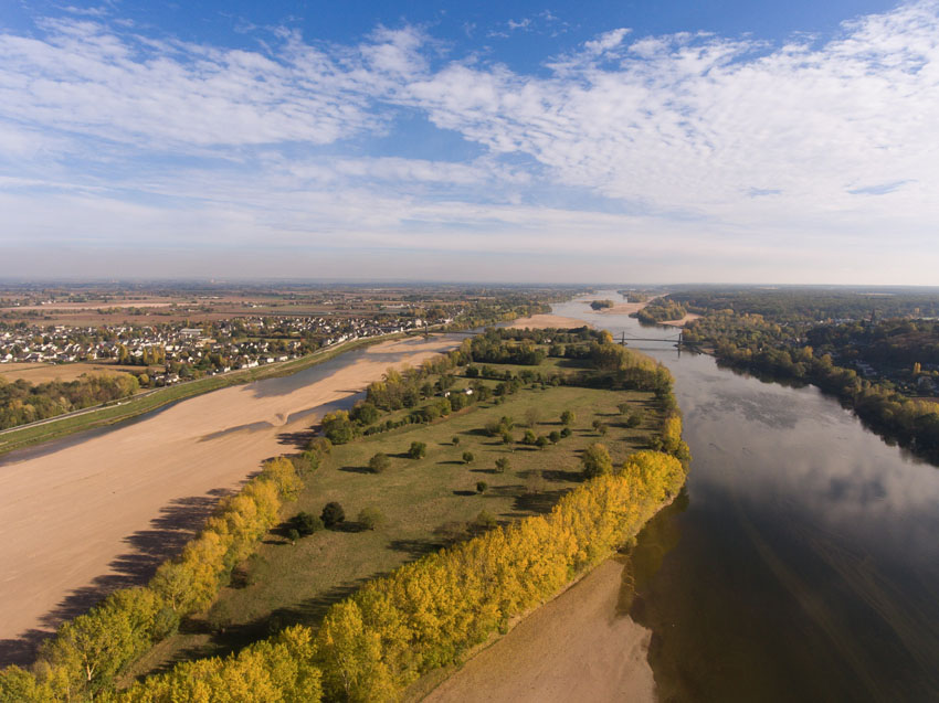 vue estivale sur une île de Loire du côté de Gennes. Le niveau de l'eau est bas et on aperçoit de nombreux bancs de sable. Au loin les communes de Gennes et des Rosiers-sur-Loire