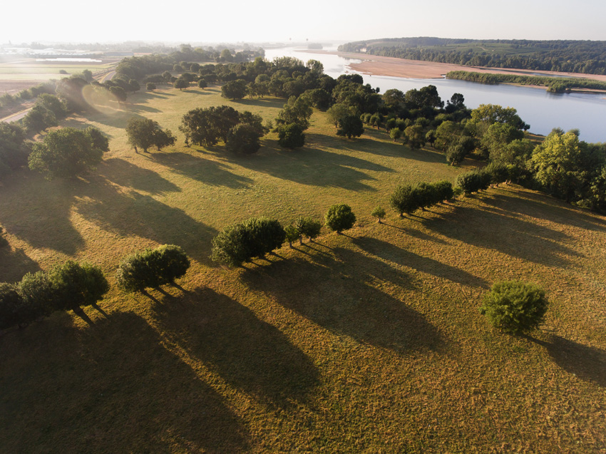 vue sur les prairies situées en bord de la Vallée de la Loire 