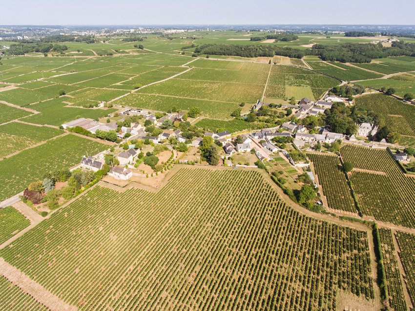 vue aérienne représentant un village entouré de vignes en Anjou 