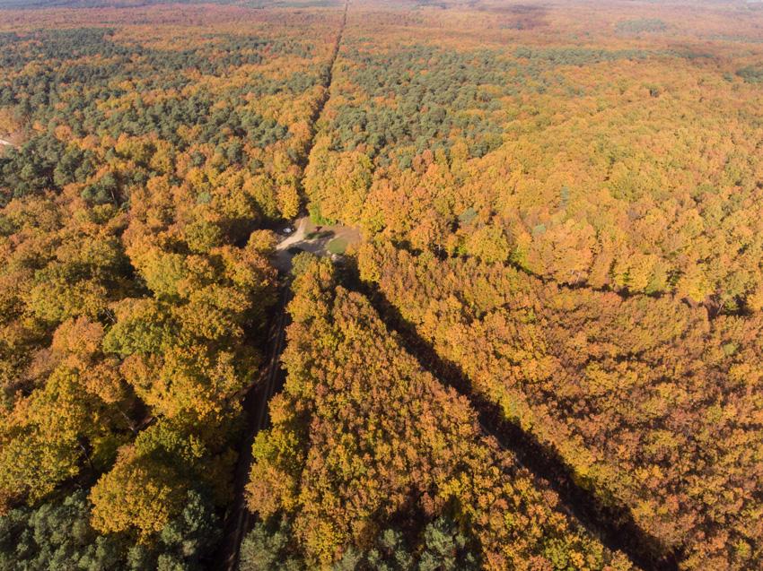 carrefour forestier vu du ciel en forêt de Chinon