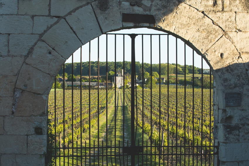 vue du portail d'un domaine viticole