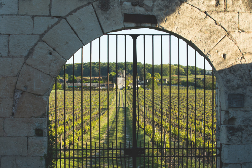 Clos à Chaintre ©Nicolas Van Ingen