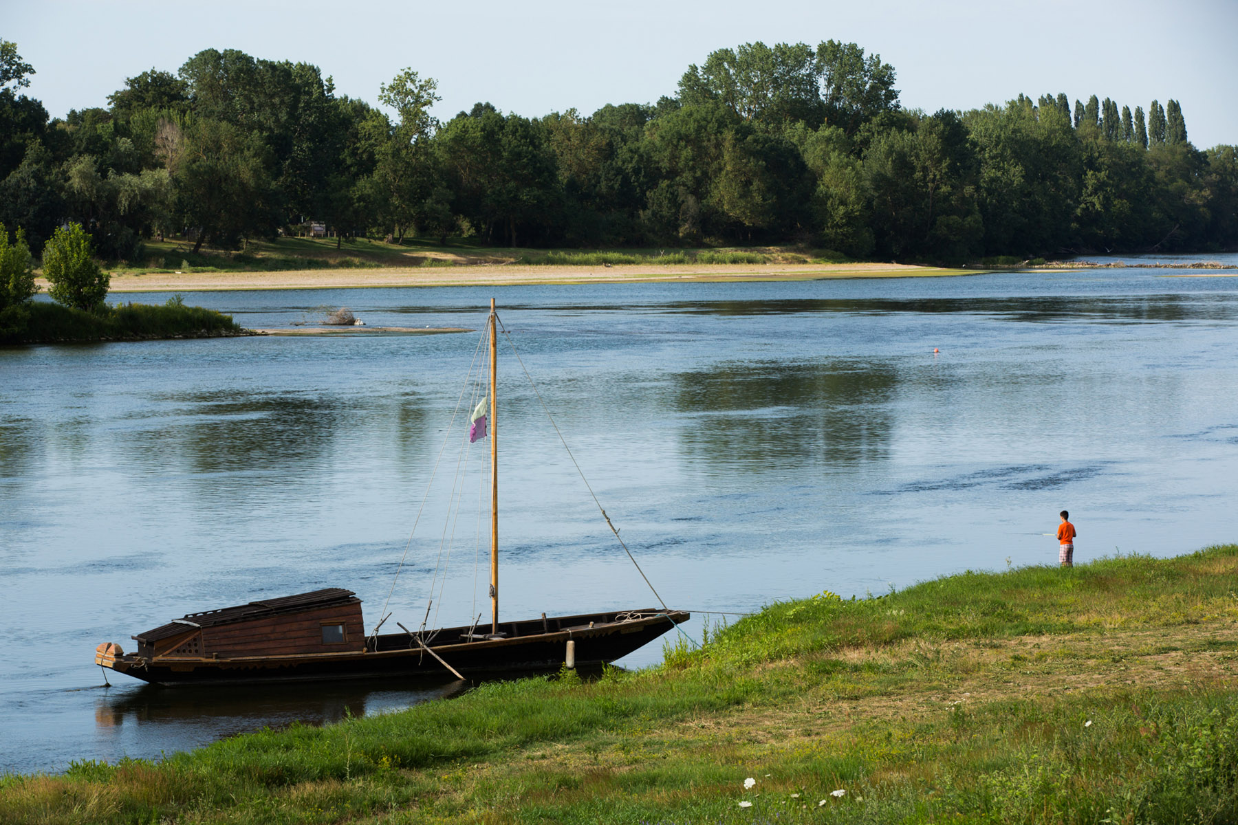 Futreau à Savigny-en-Véron©Nicolas Van Ingen