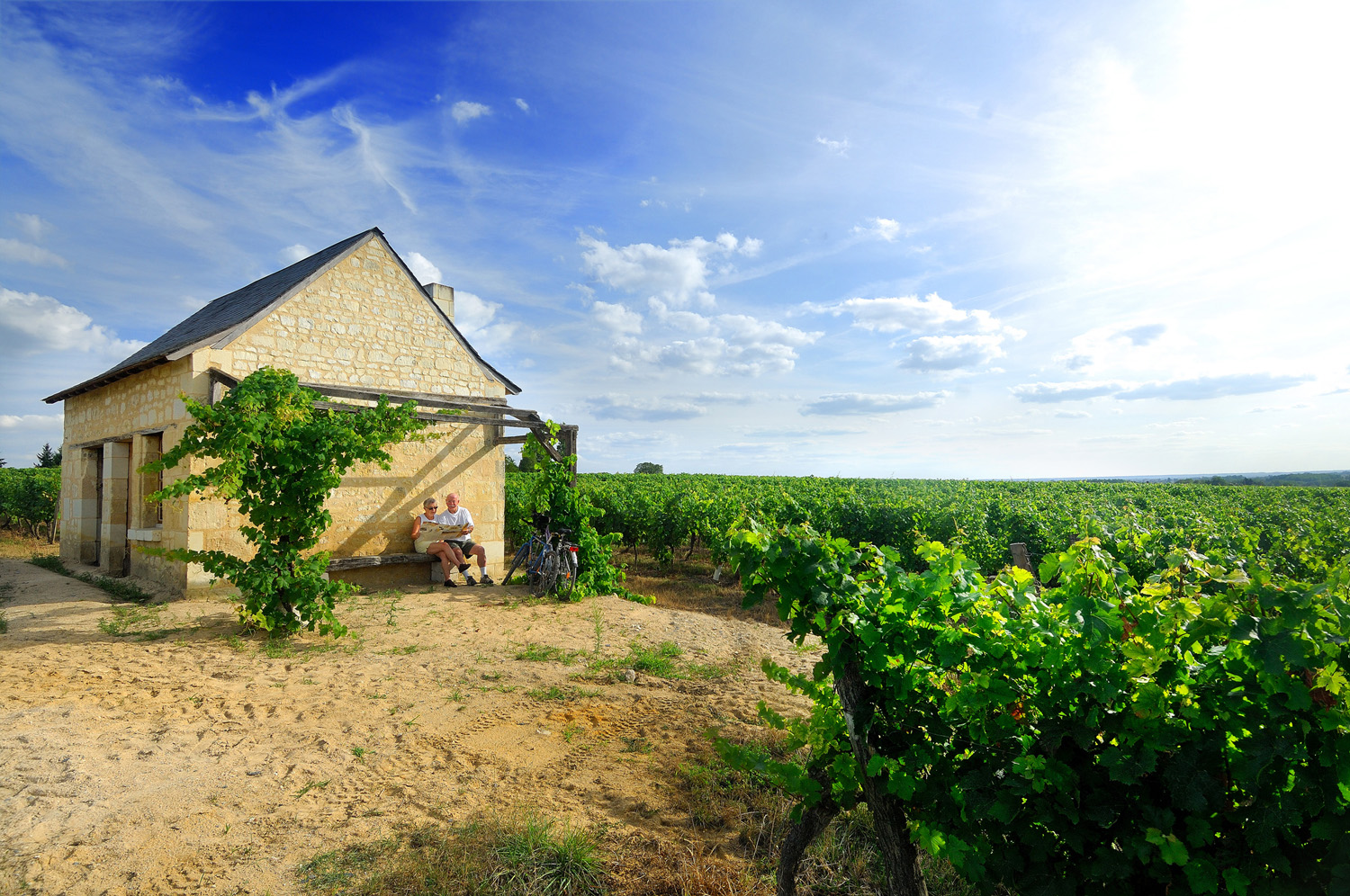 Loge de vigne©C. Petiteau