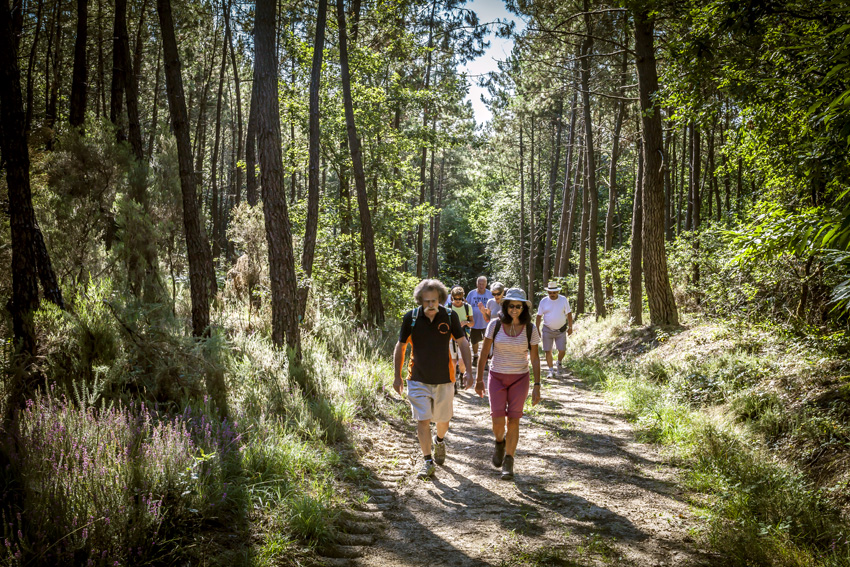 groupe de promeneurs en forêt