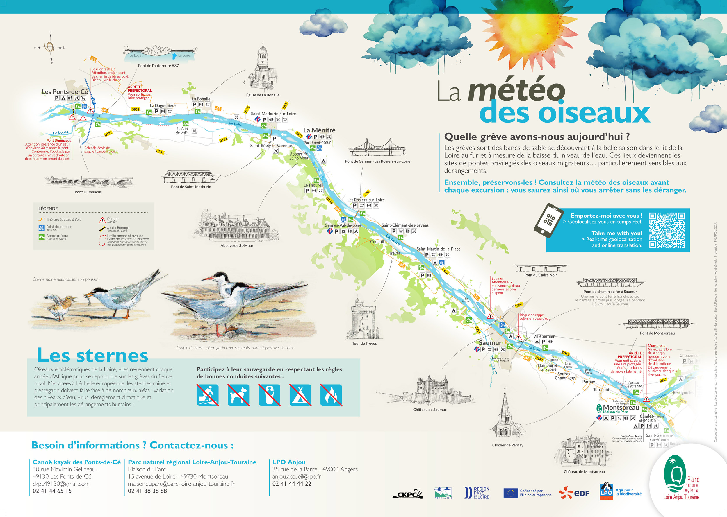 météo des oiseaux