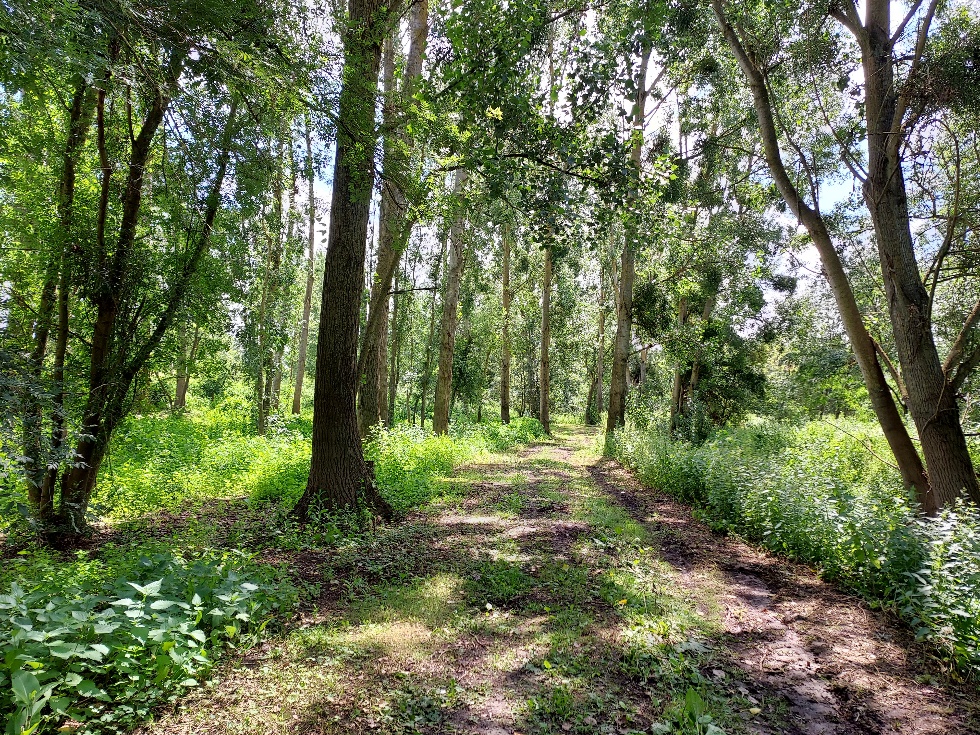 Site de la Gagnerie après travaux