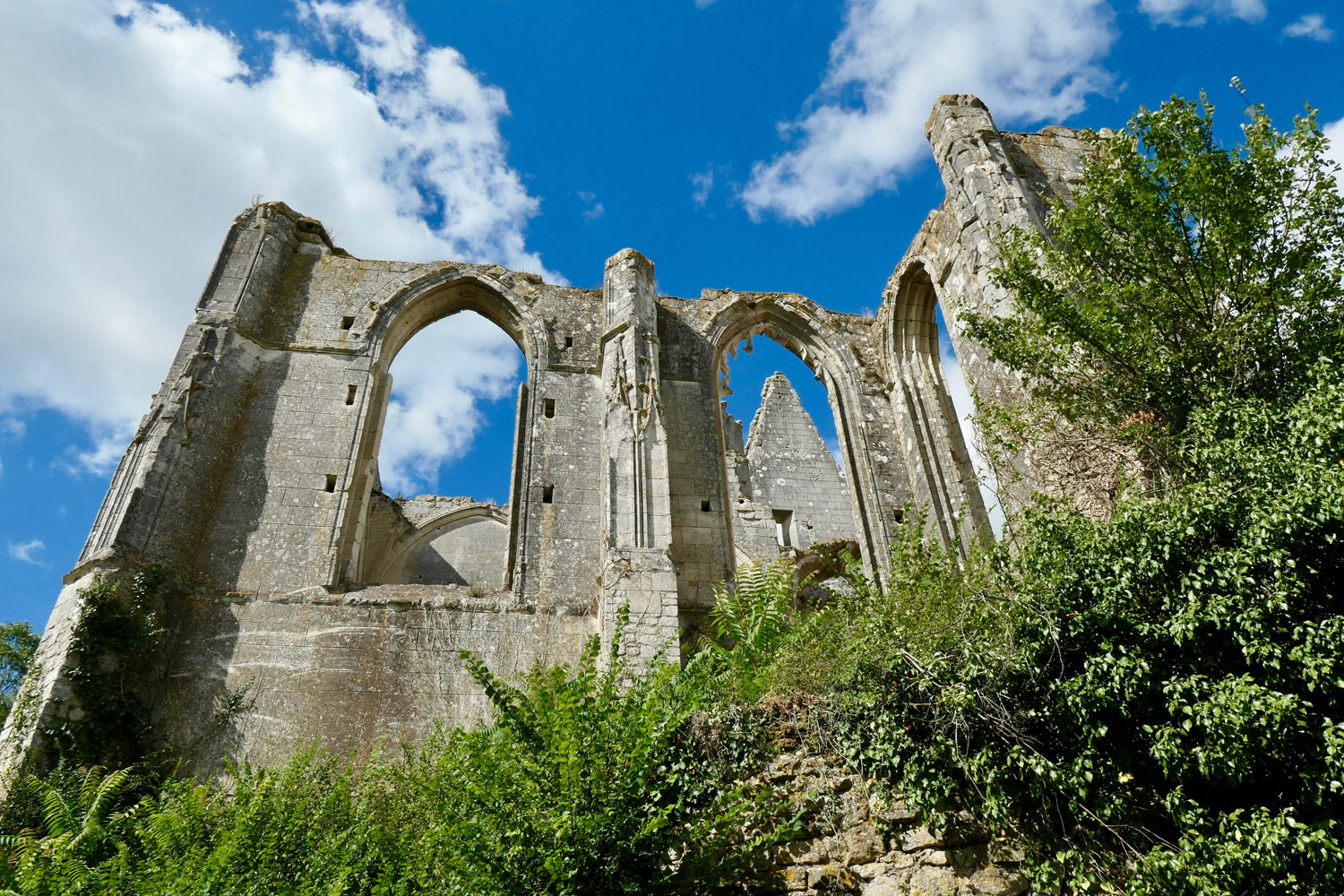 Vestiges de la collégiale des Roches Tranchelion