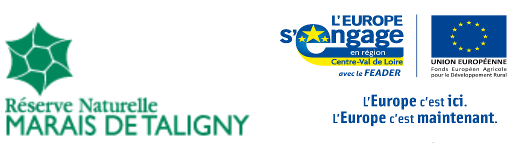Logos Taligny