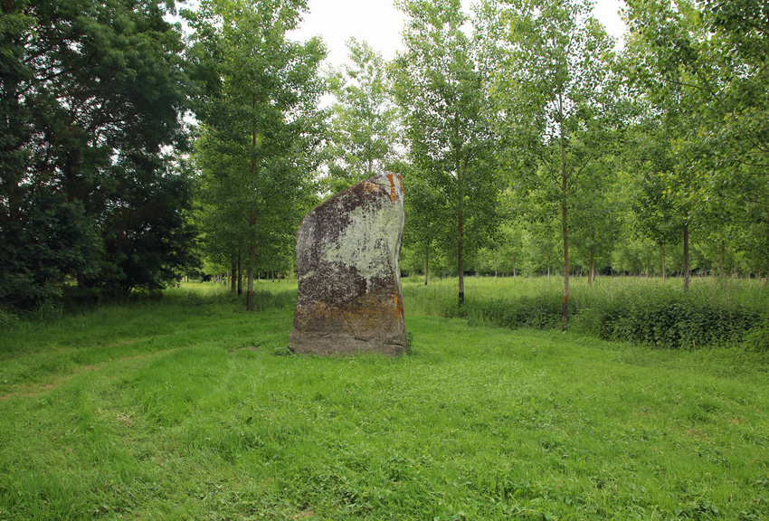 menhir situé à Artannes-sur-Thouet