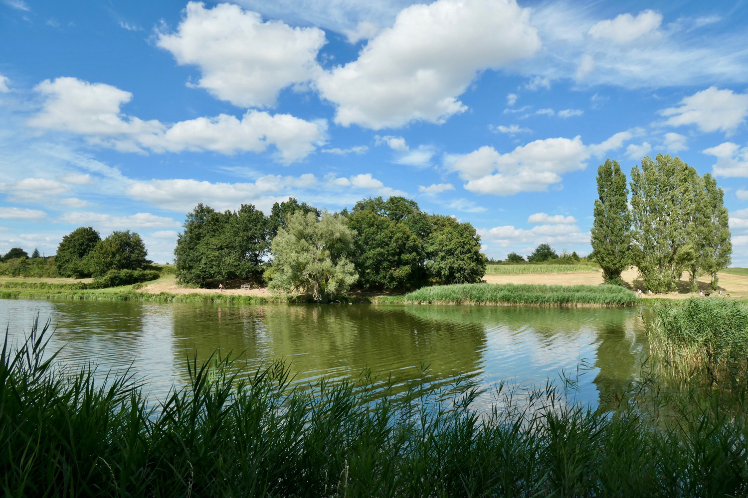 Rives du lac de Rillé