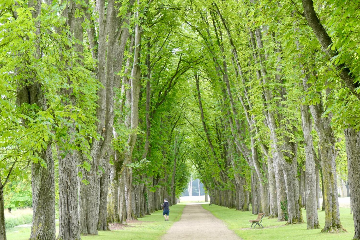 Parc de Richelieu