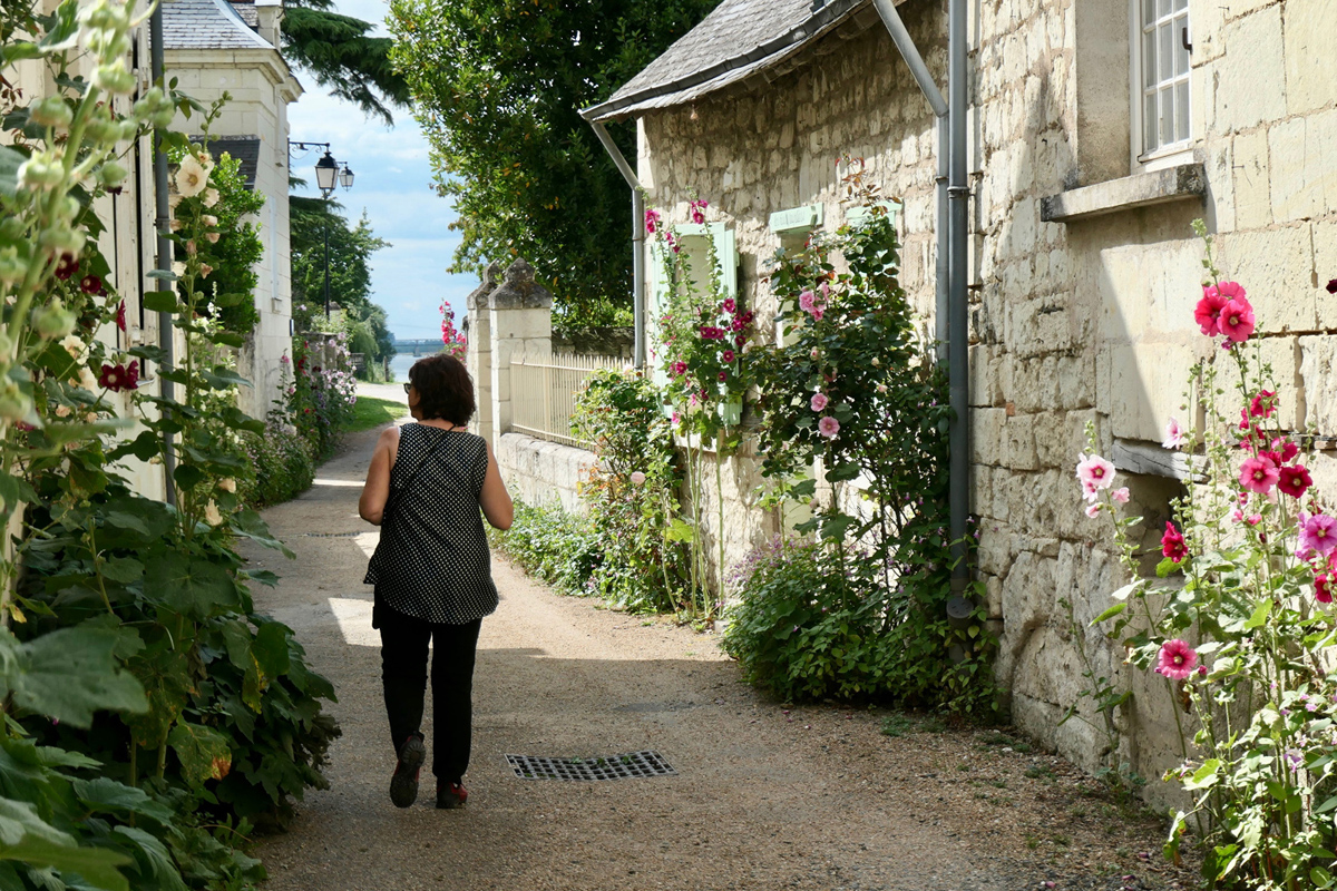 Ruelles fleuries de Candes